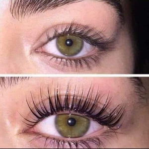 Gel transparente 6984
